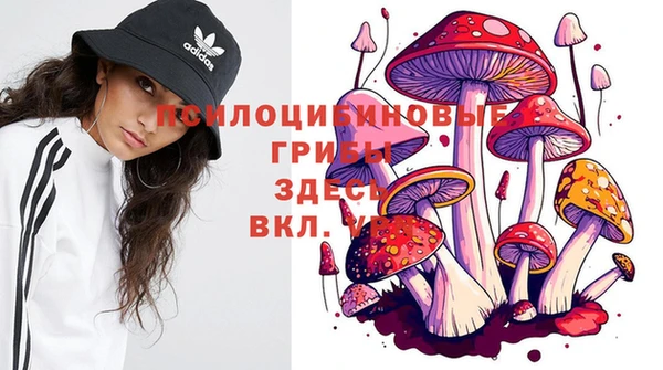 герыч Куйбышев