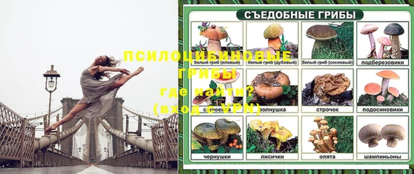 амф Кукмор