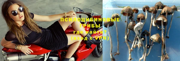 амф Кукмор