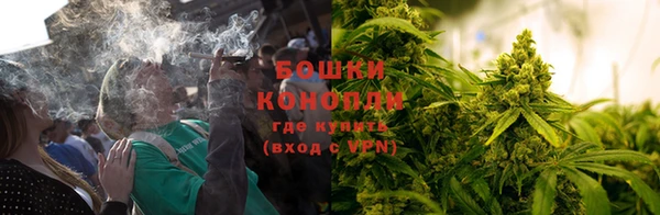 амф Кукмор