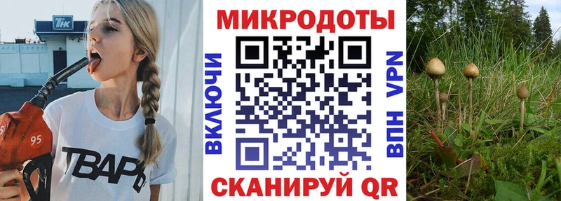 Купить закладки  Исилькуль  Галлюциногенные грибы Magic Shrooms 